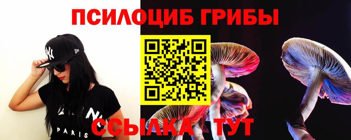 Тайшет  Галлюциногенные грибы GOLDEN TEACHER  Вход с VPN 