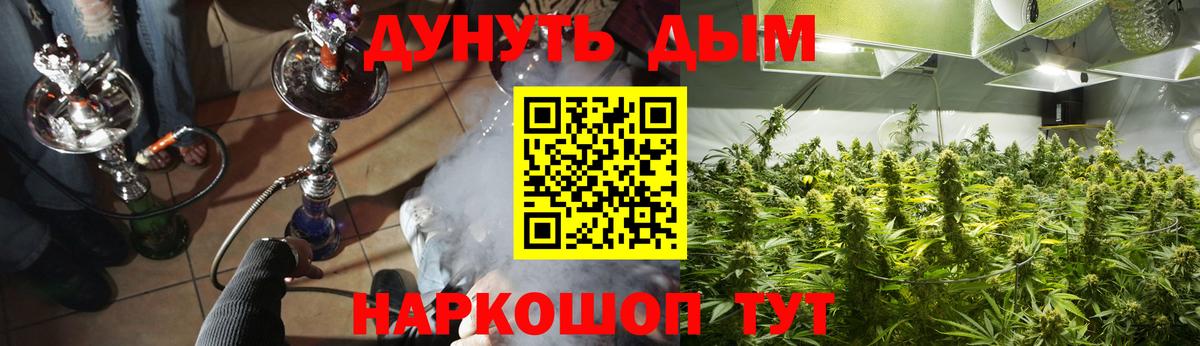 Каннабис конопля  Канабис ГИДРОПОН  Конопля семена  Бошки Шишки план  Вход с VPN  Тайшет 